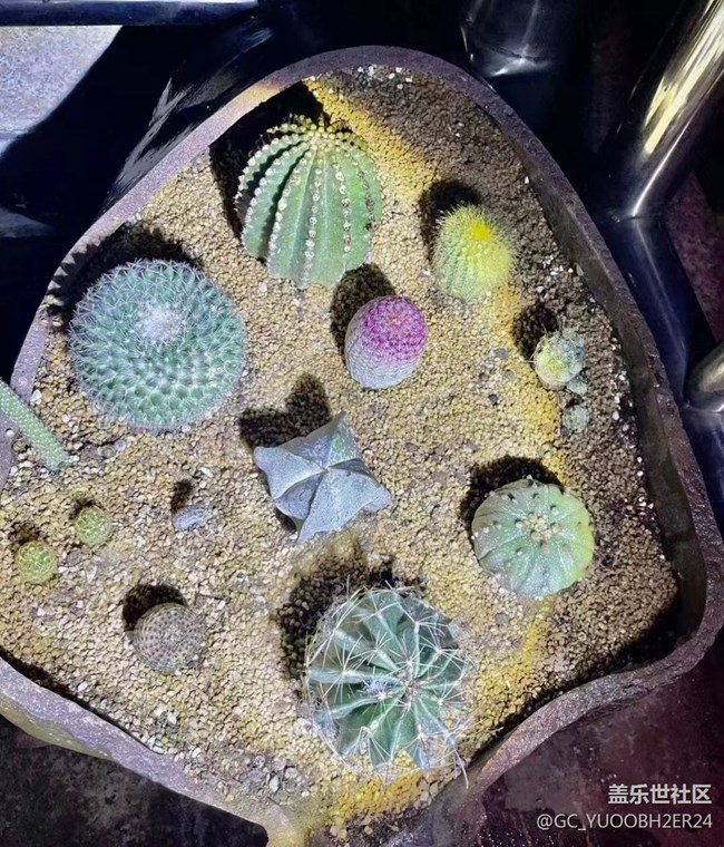 【記憶中的夏天】童年的回憶