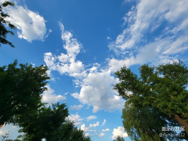 幾個月來散布隨拍，原片未ps