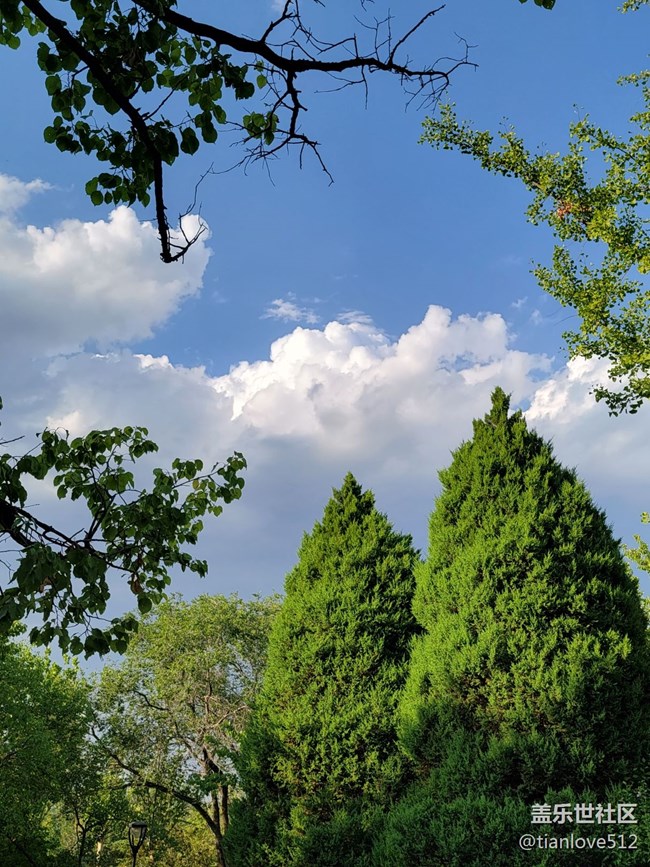 幾個月來散布隨拍，原片未ps