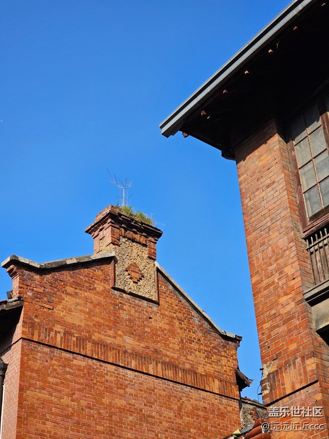 【黎黃陂路】攝影