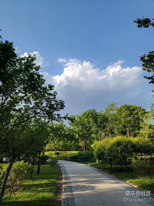 幾個月來散布隨拍，原片未ps