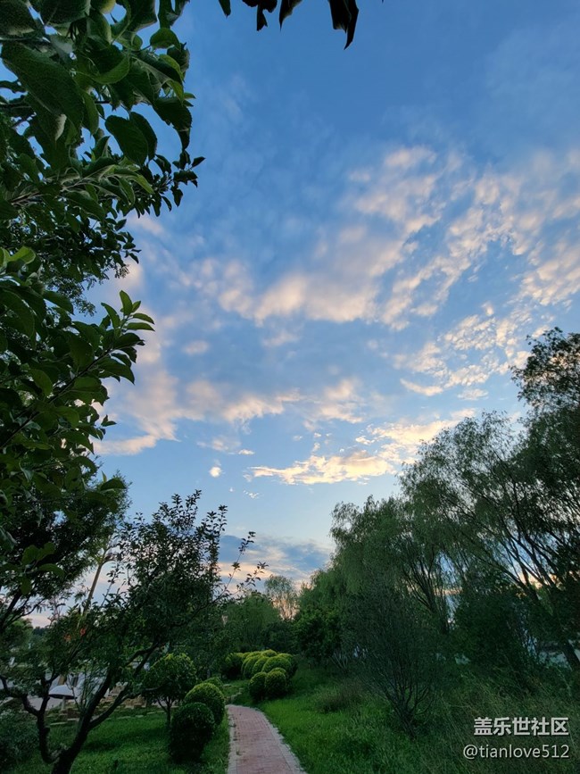 幾個月來散布隨拍，原片未ps