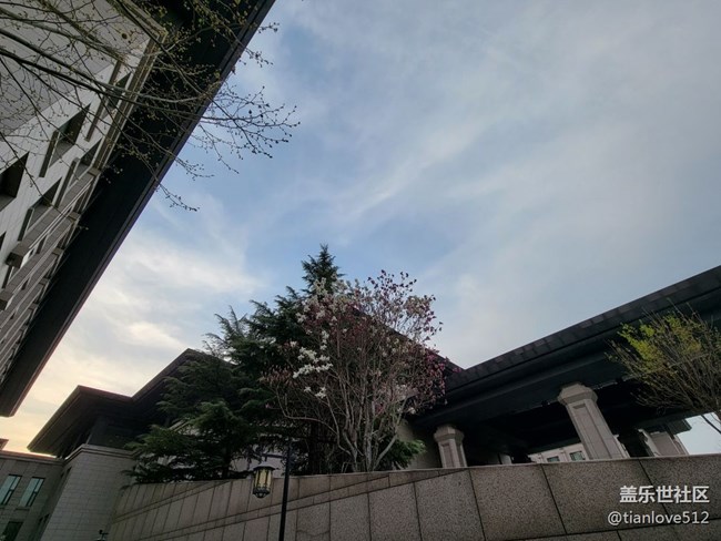 幾個月來散布隨拍，原片未ps