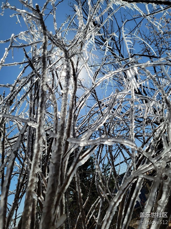 幾個月來散布隨拍，原片未ps