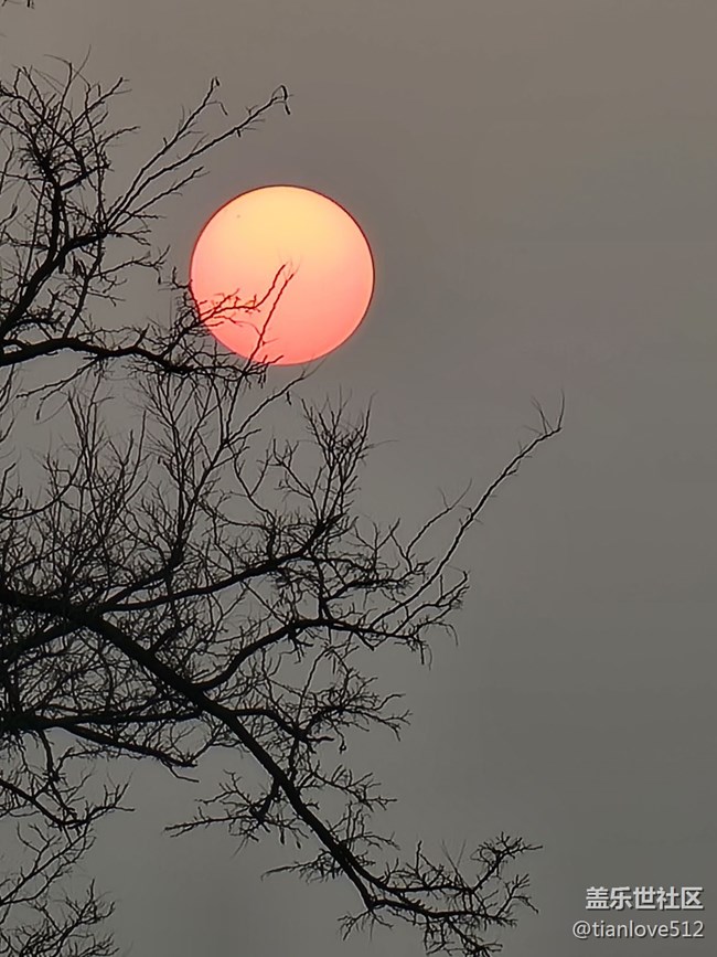 幾個月來散布隨拍，原片未ps