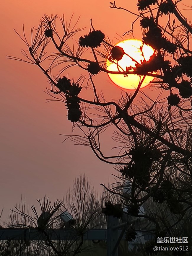 幾個月來散布隨拍，原片未ps