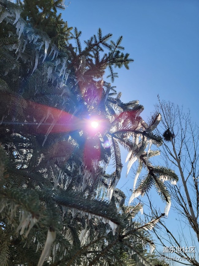 幾個月來散布隨拍，原片未ps