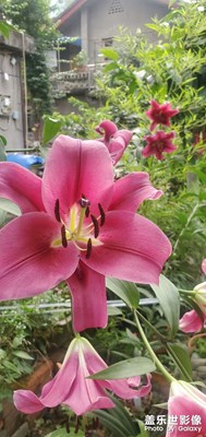 每日一圖