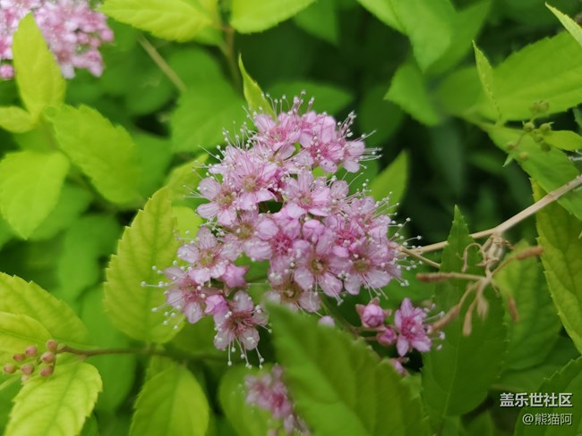 【記憶中的夏天】那年的夏天