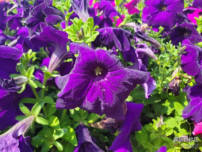 【記憶中的夏天】那年的夏天