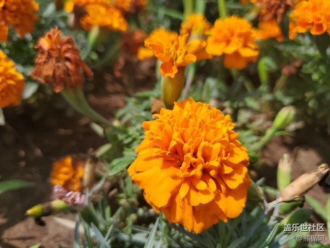 【記憶中的夏天】那年的夏天