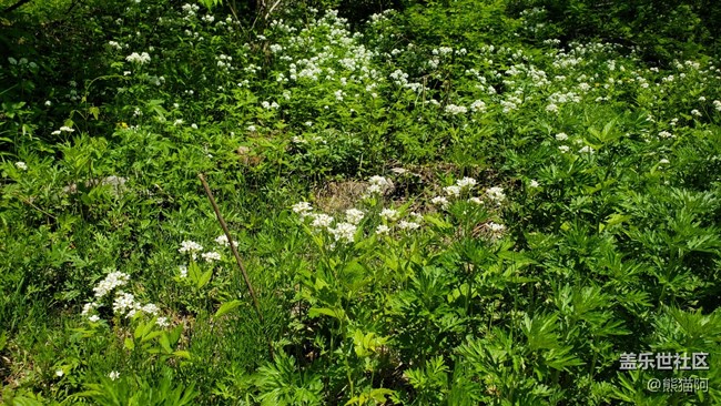 【火熱的夏天】避暑