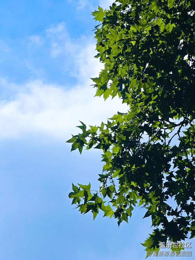 【黎黃陂路】S23Ultra攝影拍攝 總結(jié)帖 【黎黃陂路】S23Ultra攝影拍攝 總結(jié)帖