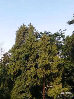 別劃走，山村美景，等你來看。