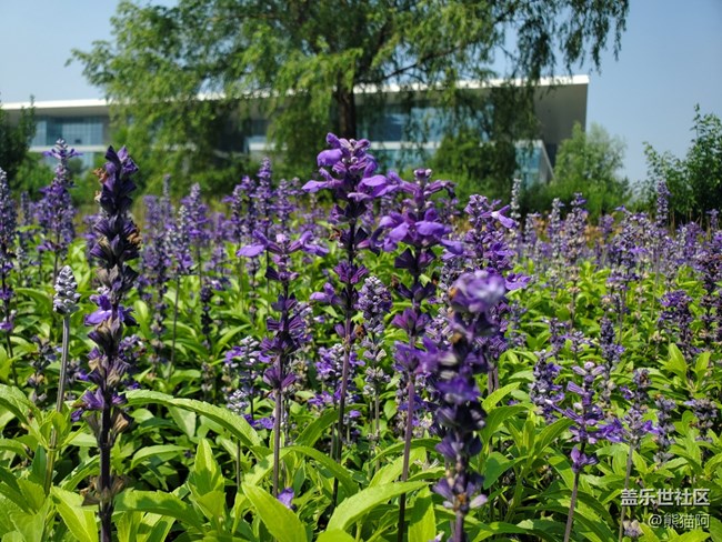 【記憶中的夏天】那年的夏天