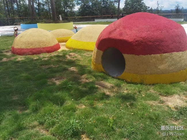 【火熱的夏天】調(diào)皮的小松鼠