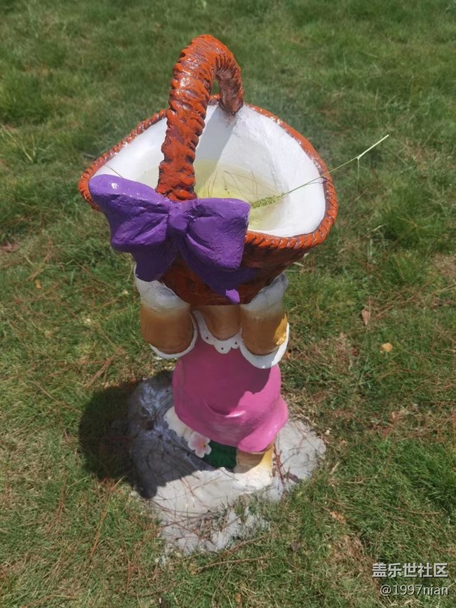 【火熱的夏天】調(diào)皮的小松鼠