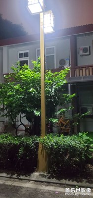 每日一圖