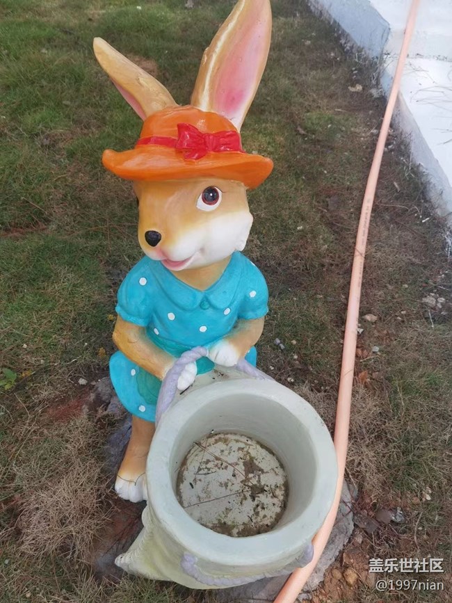 【火熱的夏天】調(diào)皮的小松鼠