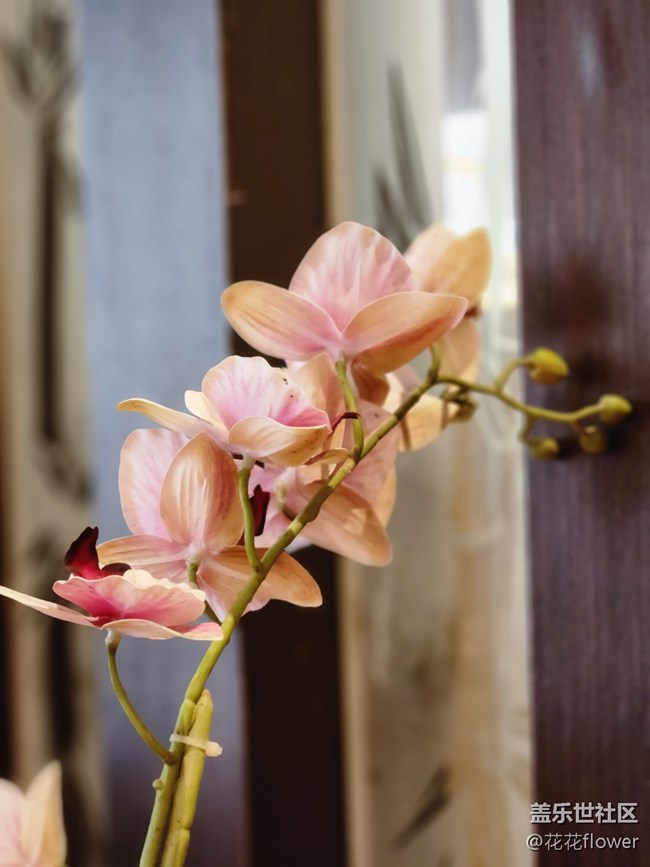 【火熱的夏天】+不宜出門(mén)