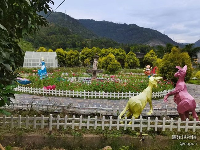【夏季的花】花園