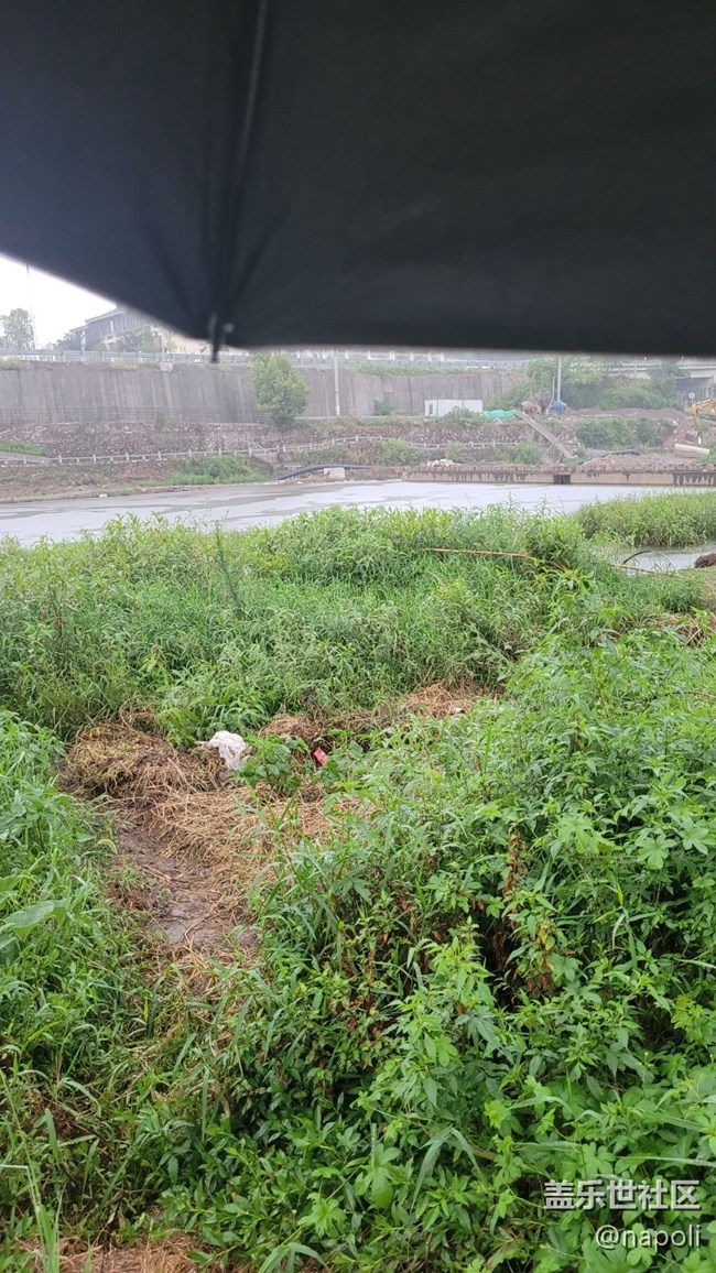 【夏日炎炎】秋風習習