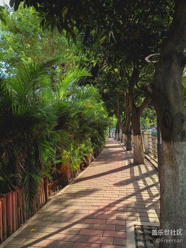 【火熱的夏天】蔽一下太陽