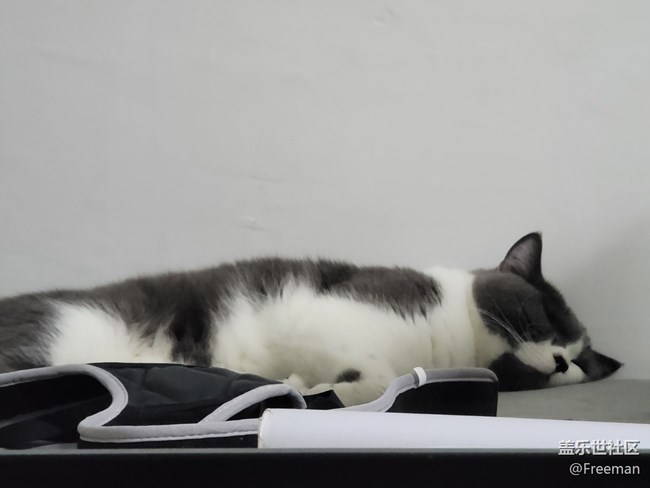 【夏日炎炎】地板長貓了