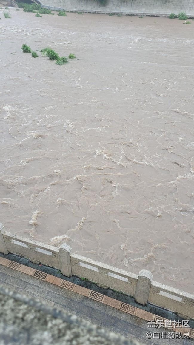 【夏日炎炎】河水濤濤