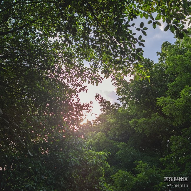 【火熱的夏天】蔽一下太陽