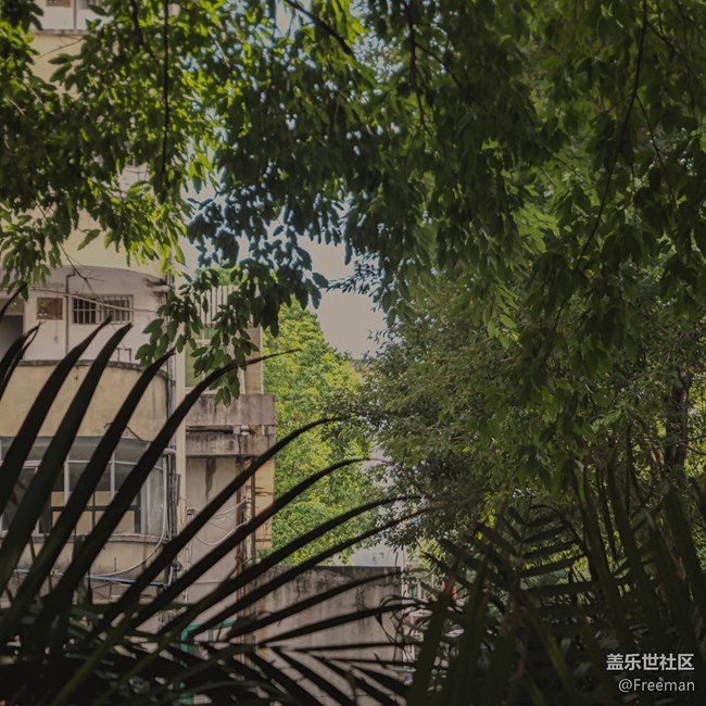 【火熱的夏天】蔽一下太陽