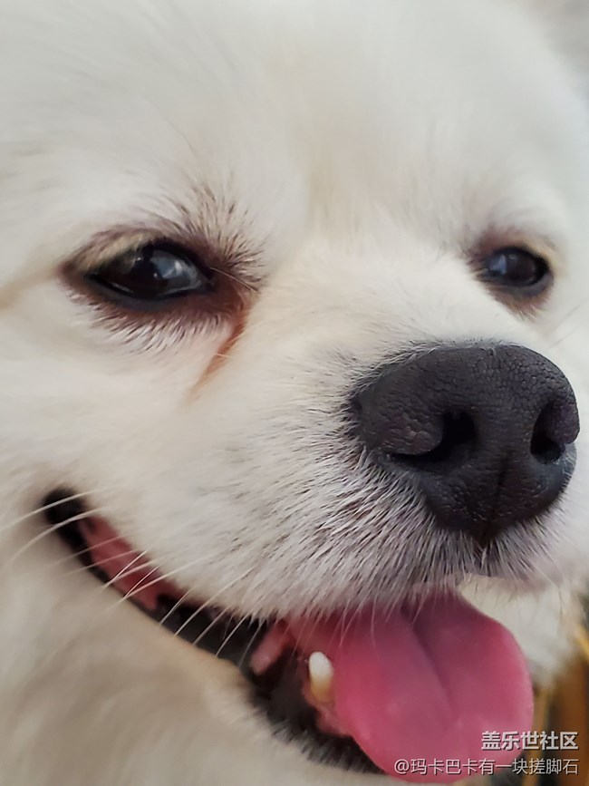 【活動(dòng)回顧】餅干烘焙&體驗(yàn)延時(shí)攝影 【活動(dòng)回顧】餅干烘焙&體驗(yàn)延時(shí)攝影