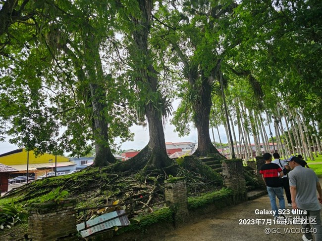 新人多多關(guān)照