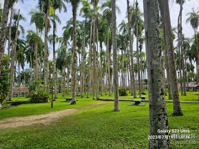 新人多多關(guān)照