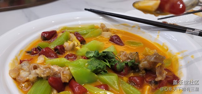 【Z新品發(fā)布會(huì)】第一次一起看新品發(fā)布會(huì)