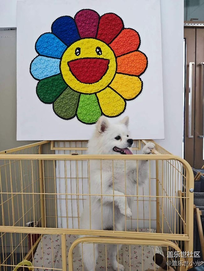 沈陽星部落DIY餅干&延時(shí)攝影活動(dòng)回顧