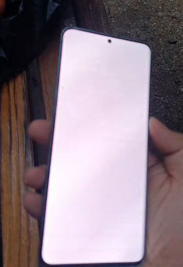 白了 白了 第二次了