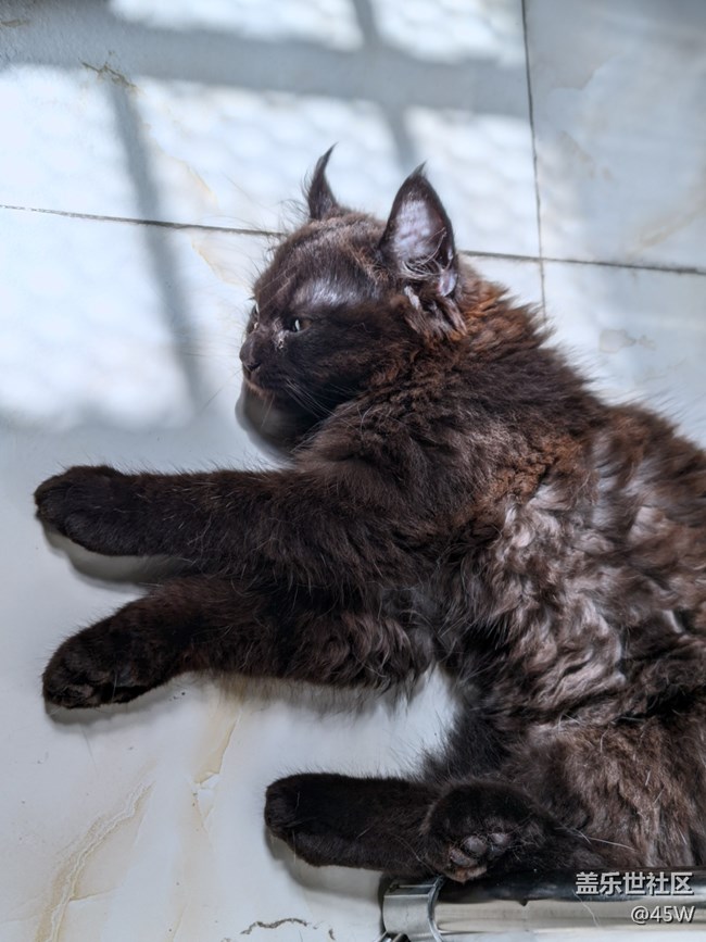 【捕捉夏日美好】日常記錄