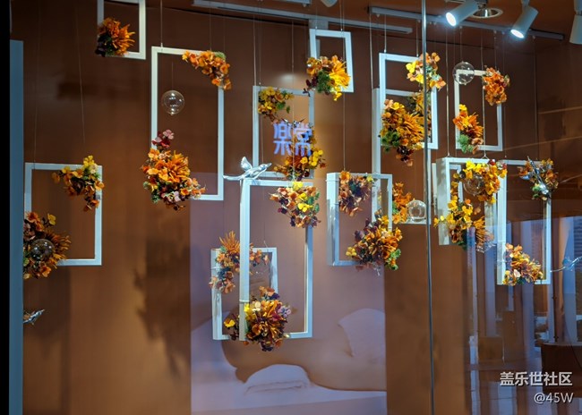 【捕捉夏日美好】日常記錄