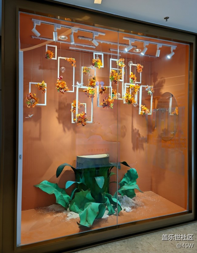 【捕捉夏日美好】日常記錄