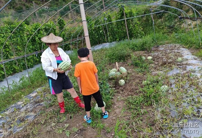 【尋一份美好】豐收