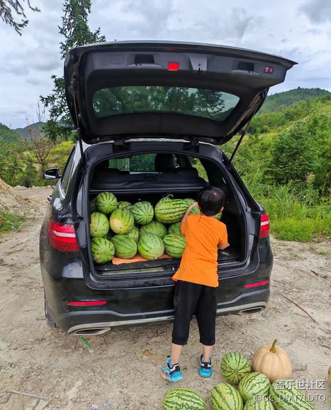 【尋一份美好】豐收