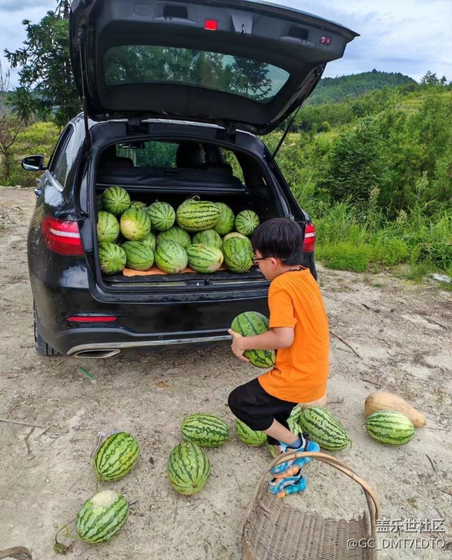 【尋一份美好】豐收