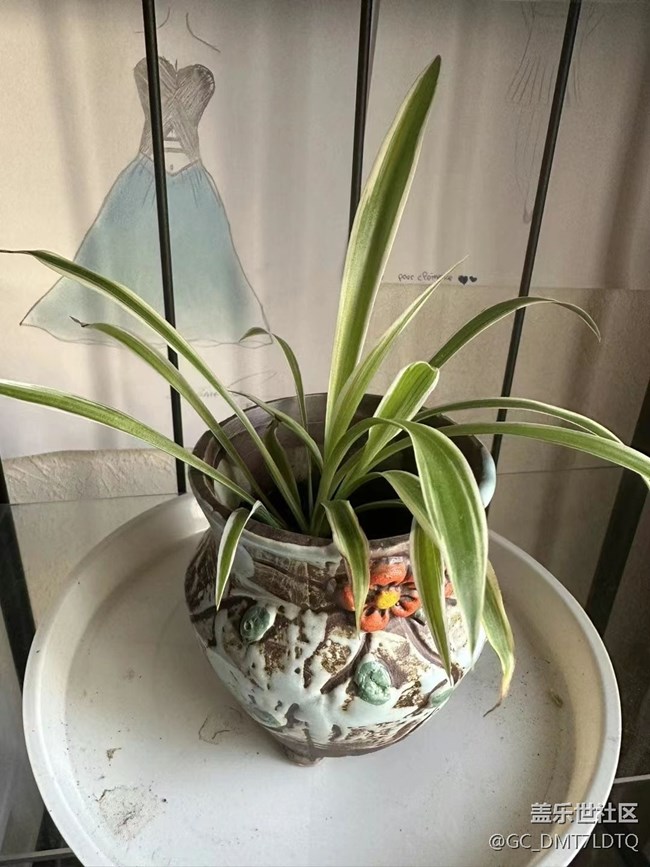 【那年初秋】盆景