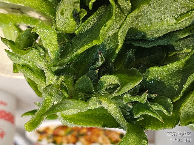 沈陽酋長在長沙慶祝社區(qū)成立八周年活動(dòng)回顧貼