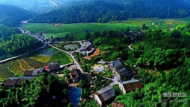 【那年初秋】荷花