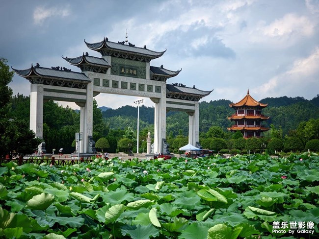 《精品大咖秀》 第九期: 你喜歡Fold還是Flip？