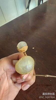 龍眼