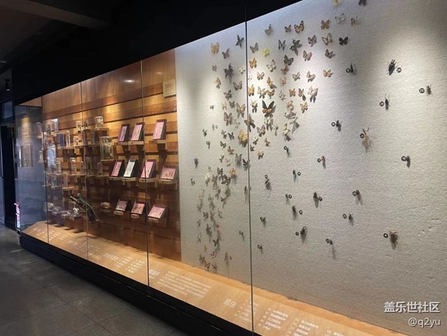 【捕捉夏日美好】參觀學(xué)校