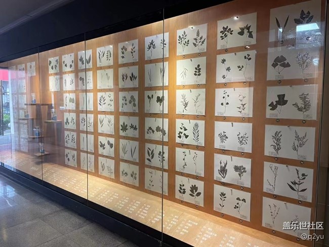 【捕捉夏日美好】參觀學(xué)校